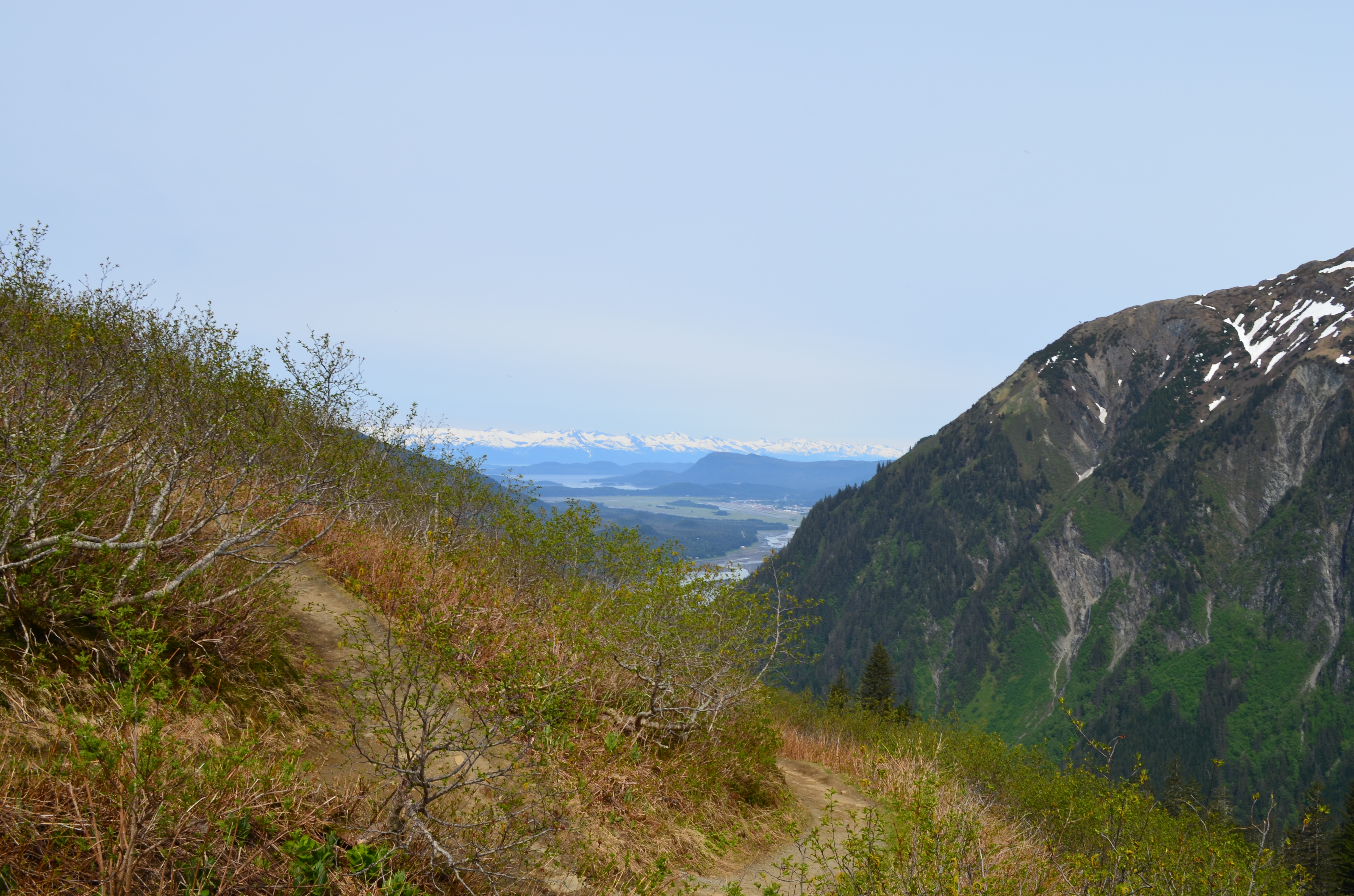 ./2017/08 - Alaska Cruise/08 - Juneau/DSC_0922.JPG